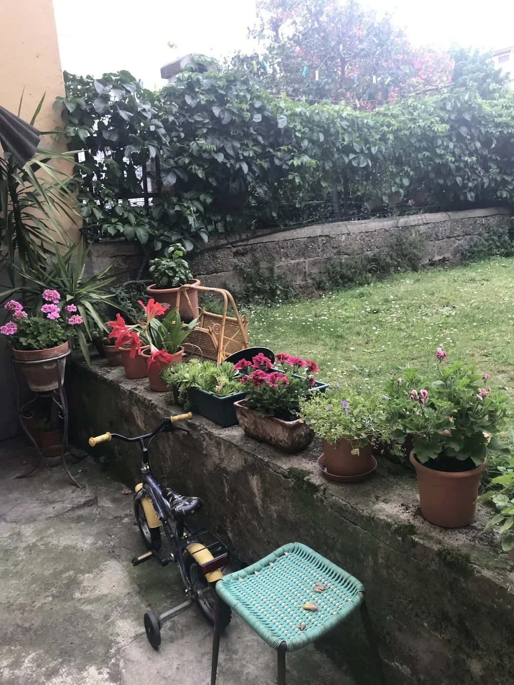 IMG_1488.jpeg