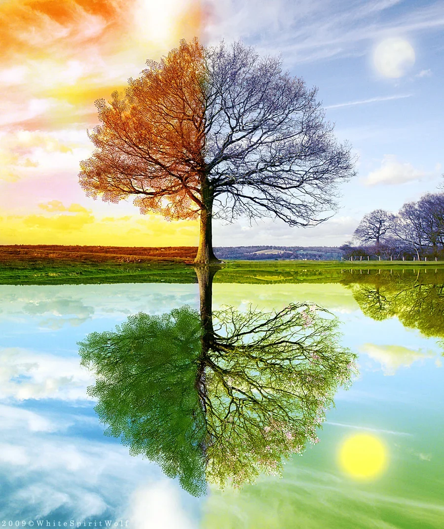 4_Seasons_by_WhiteSpiritWolf4.jpg