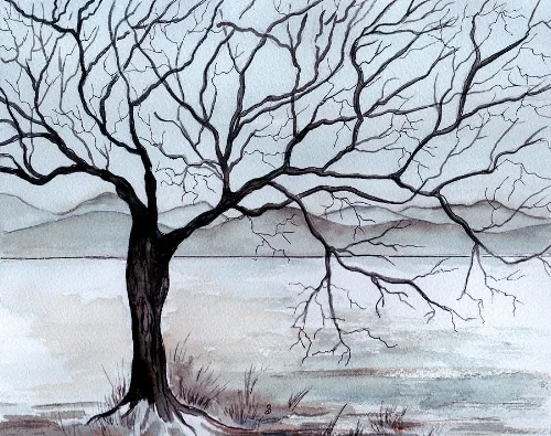 winter-tree-brenda-owen.jpg